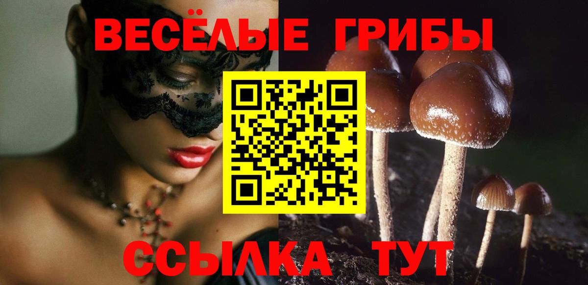 Богородск  Псилоцибиновые грибы GOLDEN TEACHER  Вход с VPN 